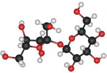 糖已经成为左右人类事务的一股巨大力量